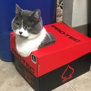 Meet your Posher, Will